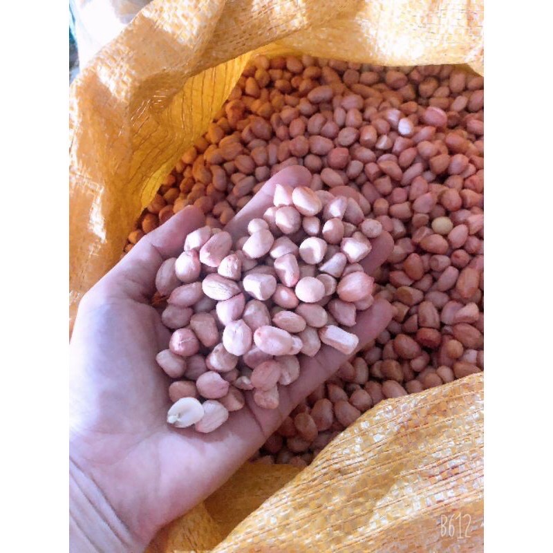 Đậu Phộng, Lạc Quê, Lạc Nhân Sống, Rang Sẵn siêu ngon 1kg | BigBuy360 - bigbuy360.vn