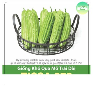 Hạt giống khổ qua mỡ trái dài