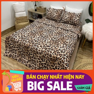 Bộ chăn ga gối Cotton poly báO Nâu Mới