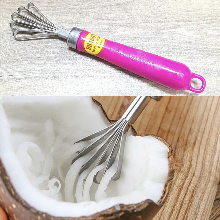 Dụng cụ nạo dừa sợi, đánh vảy cá cán nhựa 2in1