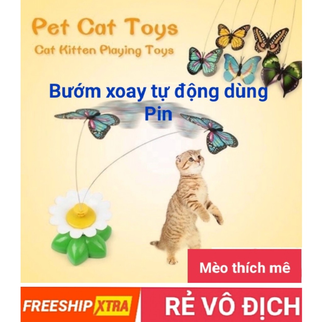 Đồ chơi Quay Vòng Tự Động cho Mèo vận động chộp bắt Chill Chill - Dùng Pin