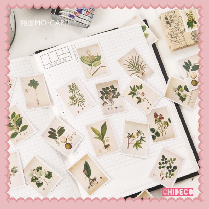 Hộp 45 hình dán sticker trang trí hình lá cây M924