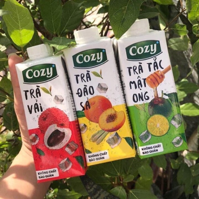 (SẴN) TRÀ TRÁI CÂY COZY / 1thùng / 24h