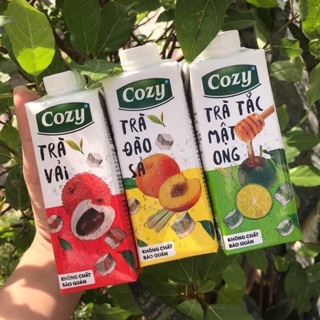 Trà trái cây cozy / 1thùng / 24h