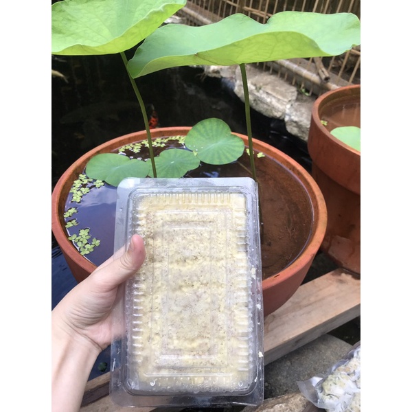 Chả cốm, Chả ốc, nem chua rán Hà Nội