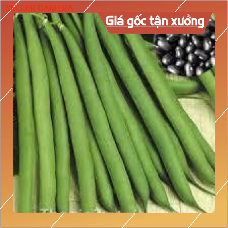 hạt giống cây đậu đỗ cove leo tứ quý hạt đen gói (50gr) rau