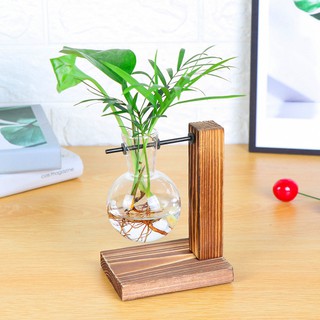 Bộ Chai Thủy Tinh Để Trồng Cây Thủy Sinh - Khung Gỗ Kèm Chai Thủy Tinh Trồng Cây Trang Trí