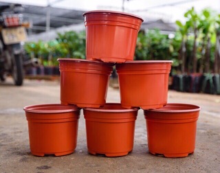 Chậu nhựa nâu N23