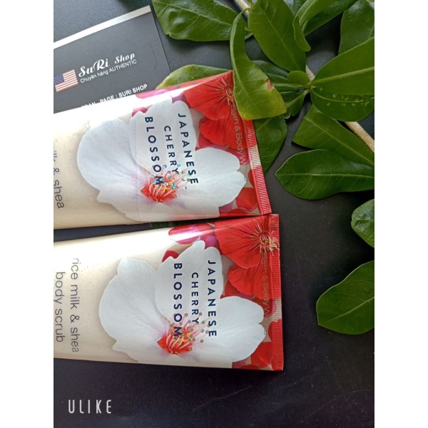 Tẩy tế bào chết