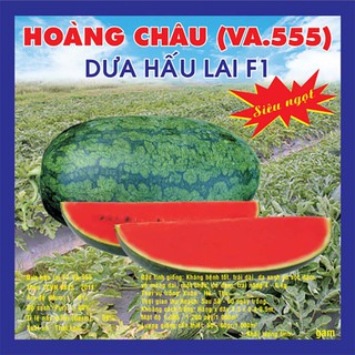 Hạt giống Dưa Hấu Hoàng Châu F1 (NVA.555)