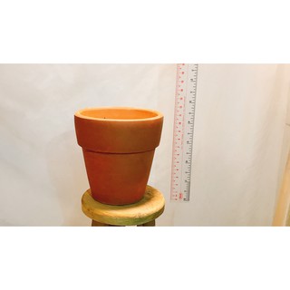 chậu đất nung 11 cm .