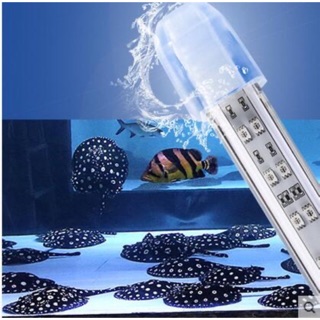 Đèn xuanmeilong vỏ thuỷ tinh siêu sáng cao cấp