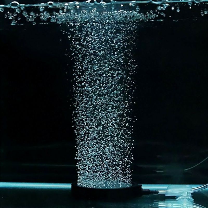 Dĩa Sủi Oxy Sủi Mịn Cho Hồ Cá Cảnh -Milo Guppy