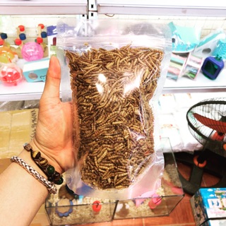 Sâu khô super worm - siêu ngon- siêu dinh dưỡng bịch to
