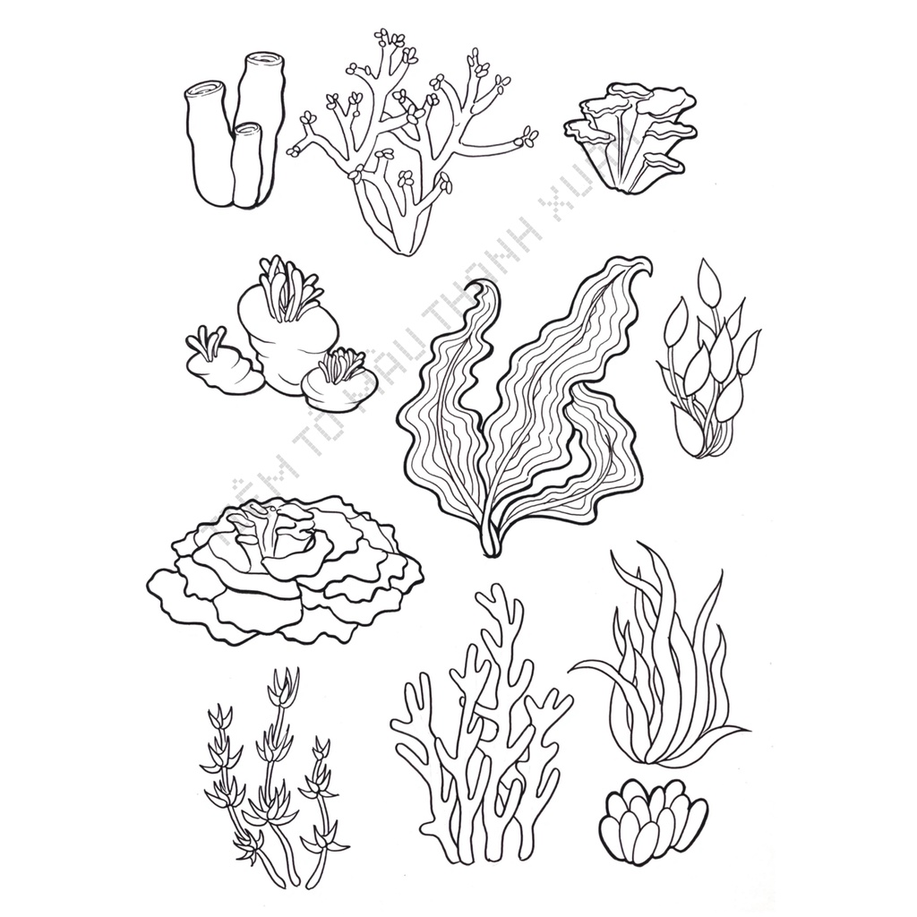 Set 7 Tờ Tranh Tô Màu Hoa Lá Tô Màu Sáp Màu Chì - Tiệm Tô Màu Thanh Xuân