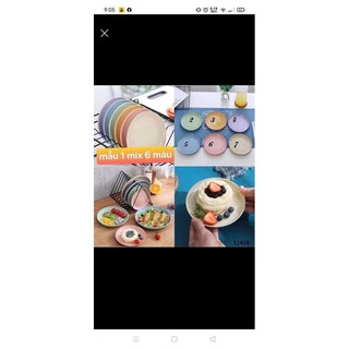 Set 6 đĩa lúa mạch siêu đẹp