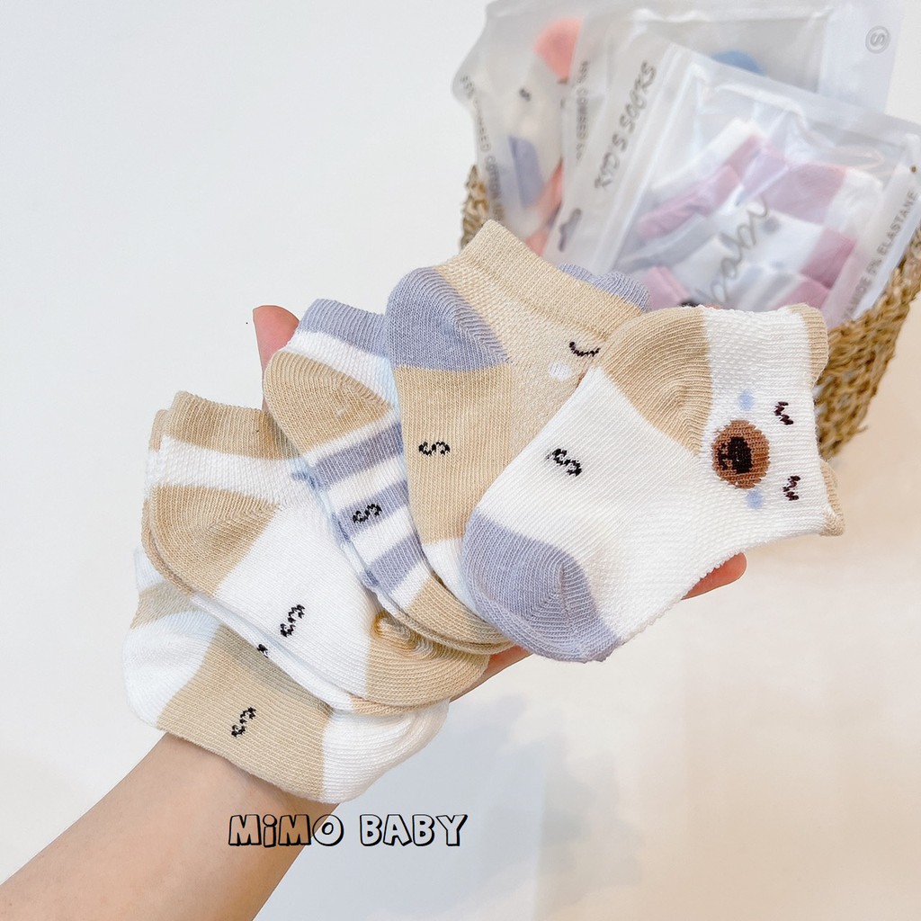 Set 5 đôi tất lưới Kidsock hình gấu Mimo Baby cho bé