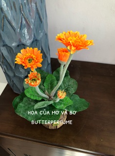 Chậu Hoa Đồng Tiền (Lụa Cao Cấp) Cao 25cm
