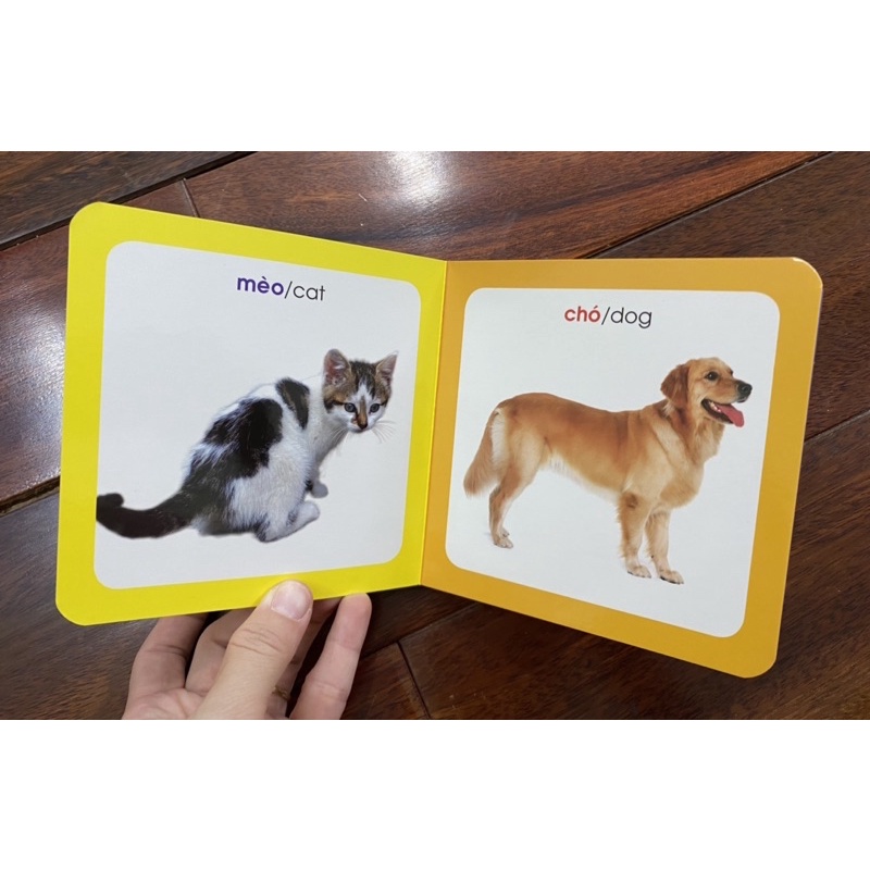 Sách-Từ điển hình ảnh cho bé ( chủ đề tự chọn) | BigBuy360 - bigbuy360.vn