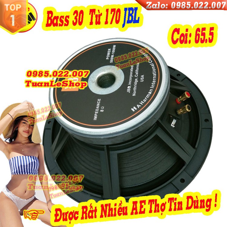LOA BASS 30 JB LTỪ 170 GÂN VẢI - GIÁ 02 CHIẾC - LOA BASS RỜI