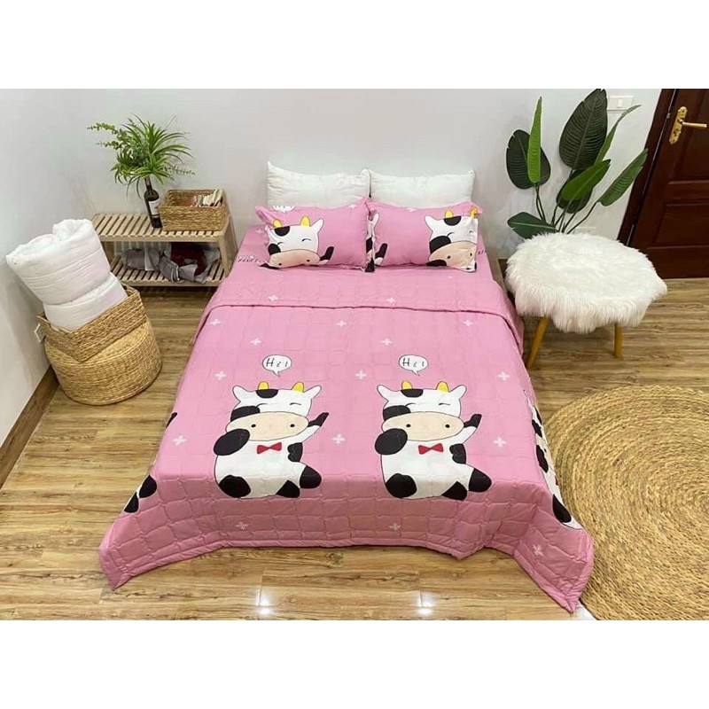 Bộ 5 Món Drap Mền Hè Poly Cotton Gồm Mền Hè + Drap + 2 Áo Gối + Áo Gối Ôm Đủ Kích Cỡ 1m2 1m4 1m6 1m8 2m2 Hàng Mới 2022 | BigBuy360 - bigbuy360.vn