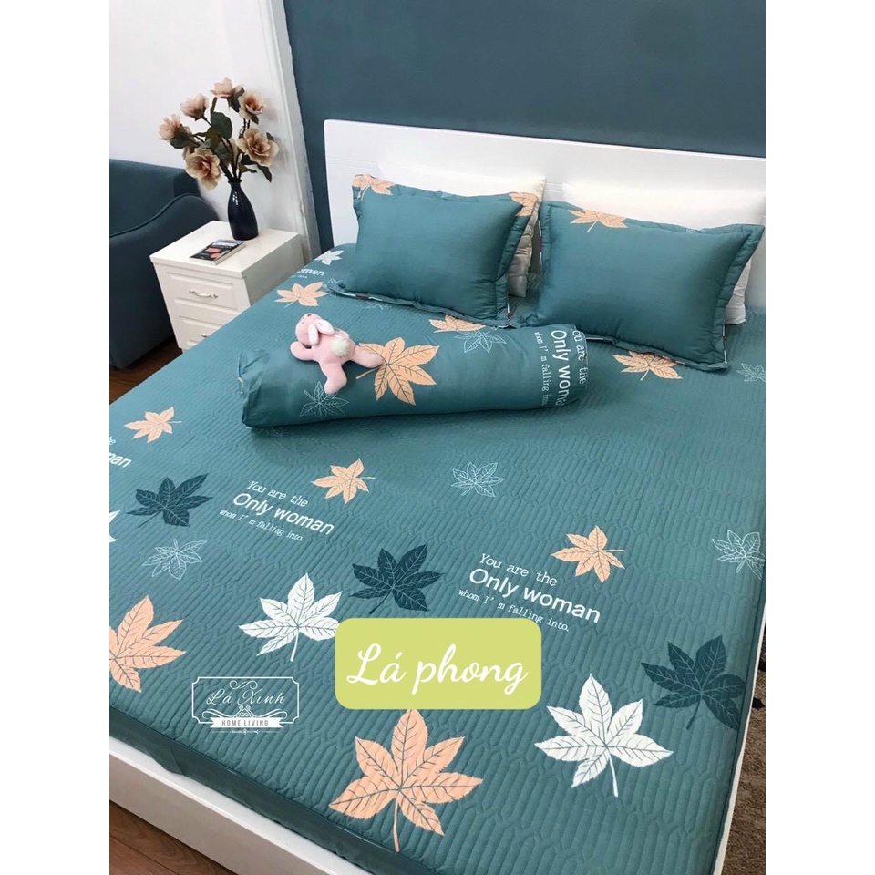 Bộ 3 món ga trơn cotton Hàn Quốc, kích thước 1m2/1m6/1m8/2m2 - Lá Ngọc