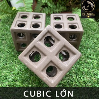 Đồ chơi tép cảnh