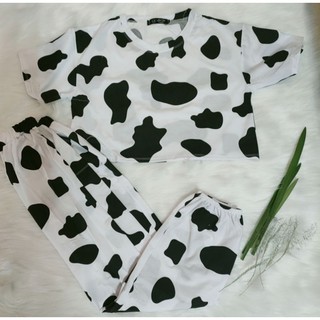 Áo + nón + set + áo khoác bò sữa