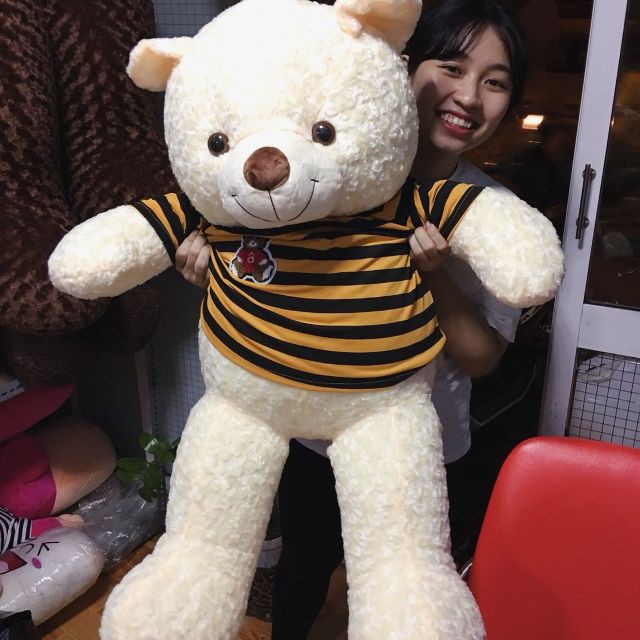 Gấu bông Teddy cao cấp CAO 1M Màu kem
