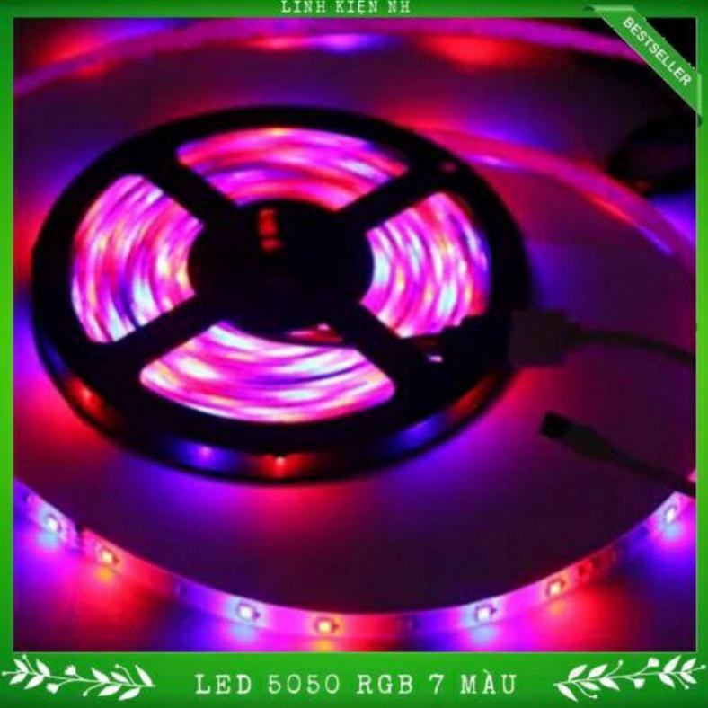 Dây Led 5050 DC12V Chống nước Nhiều màu 5M/Cuộn