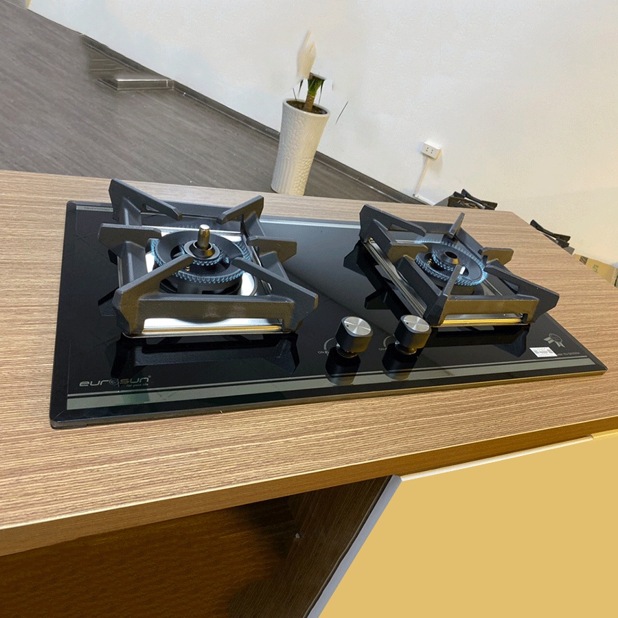 Bếp ga âm Eurosun EU-GA292SA