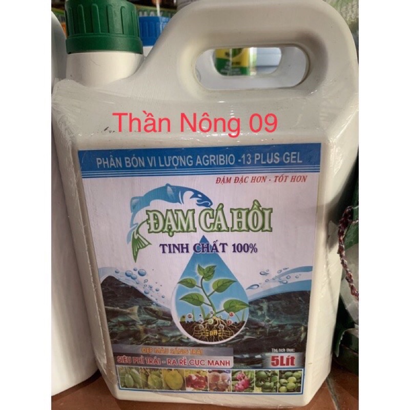 phân bón vi lượng DẠM CÁ HỒI( can 5lit)
