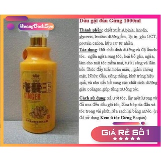 Cặp Dầu Gội Gừng ( nóng/ lạnh)