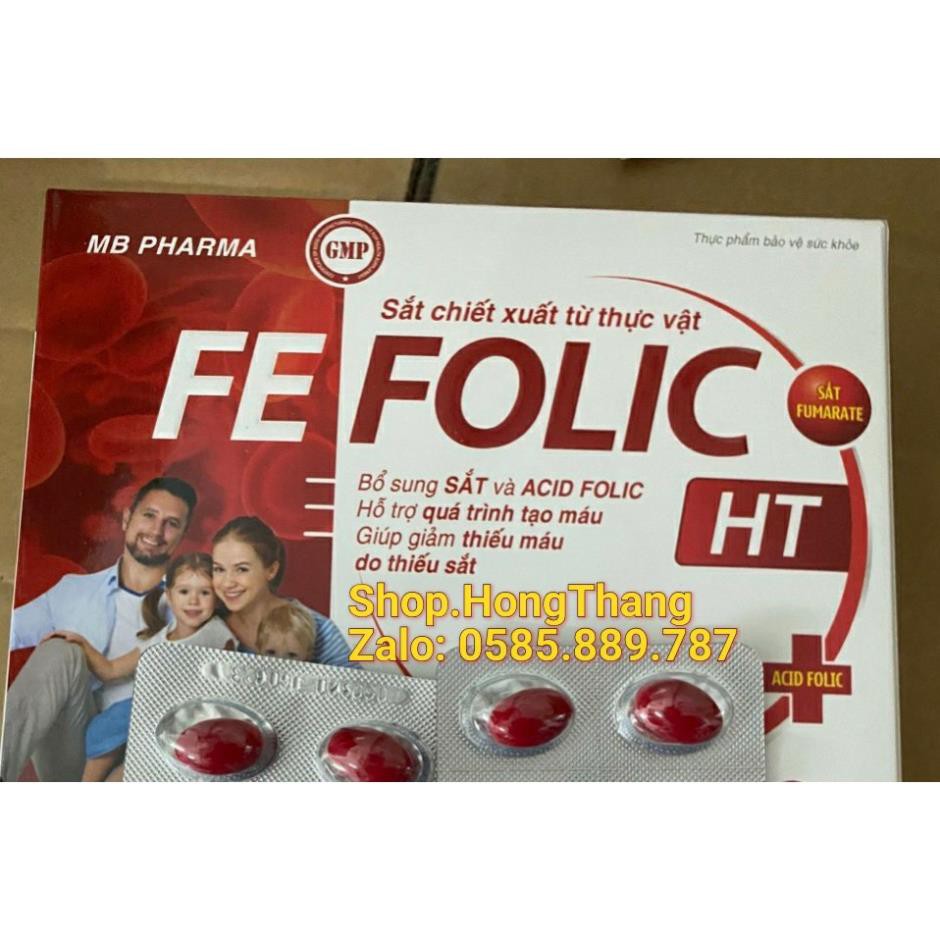 Fe Folic bổ sung sắt và acid folic, giảm thiếu máu do thiếu sắt, hỗ trợ quá trình tạo máu