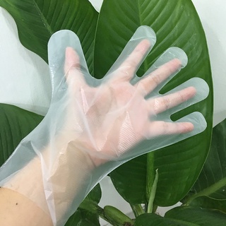 Bao Tay Nilon Xử Lý Hóa Chất Bì 1kg, Bảo Vệ Đôi Tay Tiếp Xúc Hóa Chất, An Toàn, Tiện Dụng, Sử Dụng 1 Lần Tiện Lợi