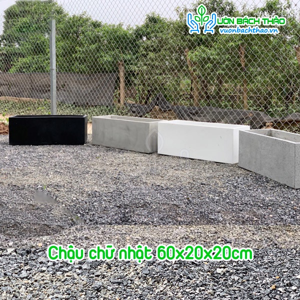 Chậu xi măng đá mài chữ nhật cao cấp giá rẻ 60X20X20cm