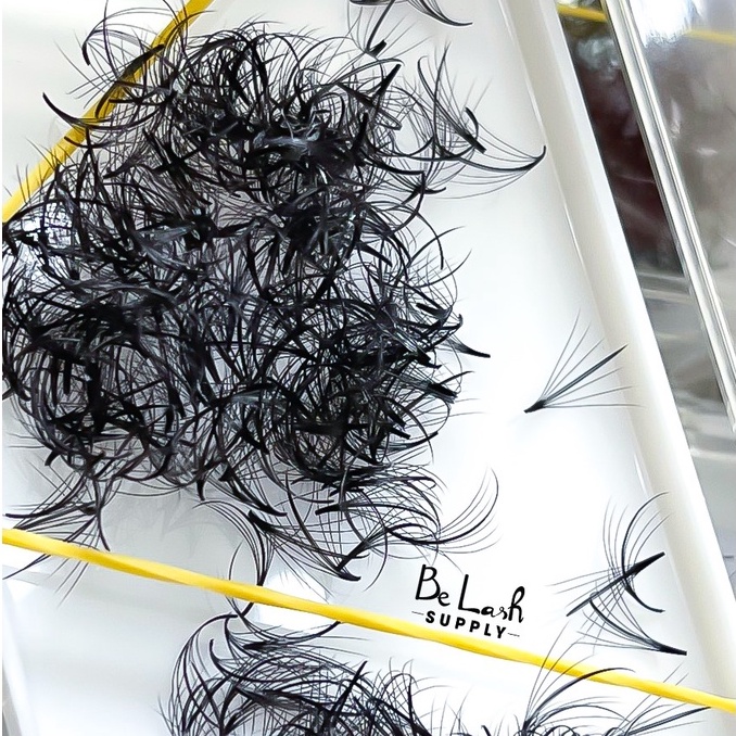 Mi Fan Wispy Xuất Khẩu (hộp 500 fan) - Lady Lash VN - Mi Khay - Dụng Cụ Nối Mi _ Thiên Ngọc Mi