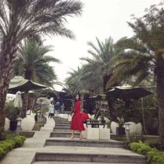 Váy Đỏ dáng dài phong cách Vintage