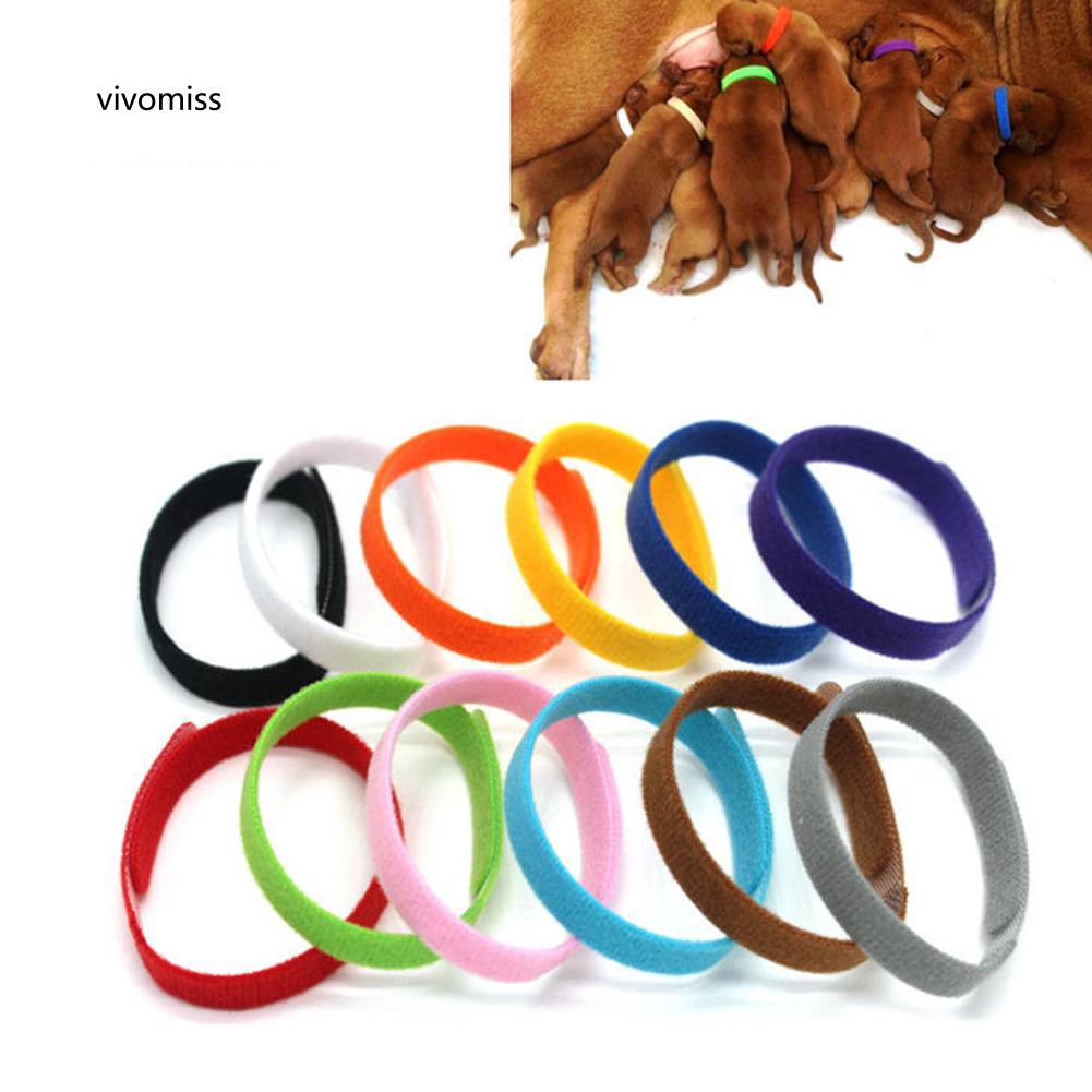 VVMS♥12Pcs Little Dog Cat Puppy Whelping Identification Collar ID Bands Pet Supplies