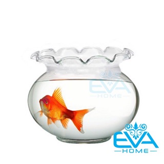 Hồ Cá Bể Cá Thuỷ Tinh Miệng Bèo B3 10 x 12  Cm Tặng Kèm Sỏi Và Rong Trang Trí