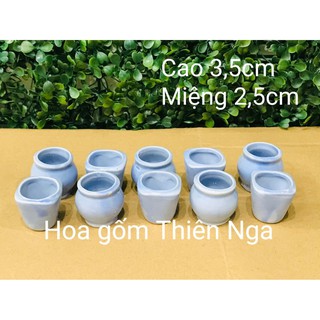 Combo 100 chậu gốm sứ mini