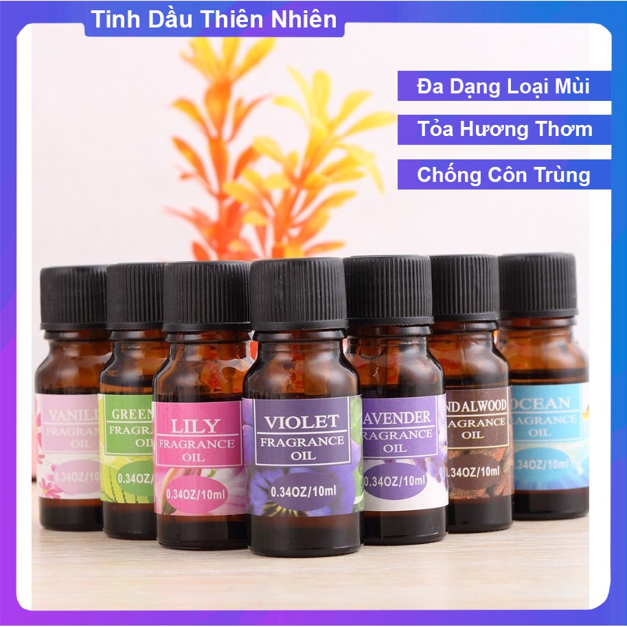 Tinh Dầu Thơm Thiên Nhiên 10 ml Tỏa Hương Thơm Phòng Khử Mùi Đuổi Muỗi , Chống Côn Trùng