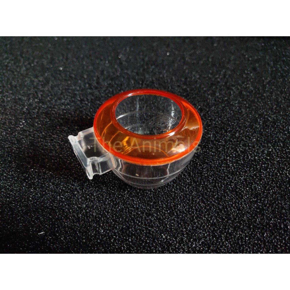 Cóng nước cho chim chào mào, cu gáy, sáo (lớn 6x4,5cm)
