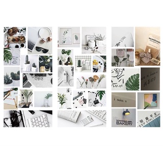 Bộ 3 tấm sticker nhãn dán lá cây