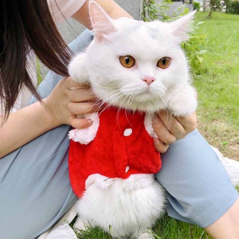 Áo Giáng Sinh-Noel cho Chó Mèo, ấm áp mùa Noel - Áo Giáng sinh thú cưng