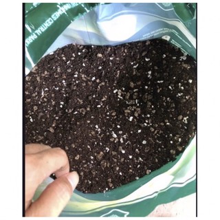 1 kg đất soil mix trồng sen đá, xương rồng