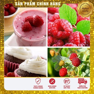 Hạt giống mâm xôi đỏ ( phúc bồn tử đỏ 10 hạt)