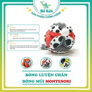 Shop Bố Ken Bóng Luyện Chân Bóng Múi Montessori Đồ Chơi An Toàn 06 tháng