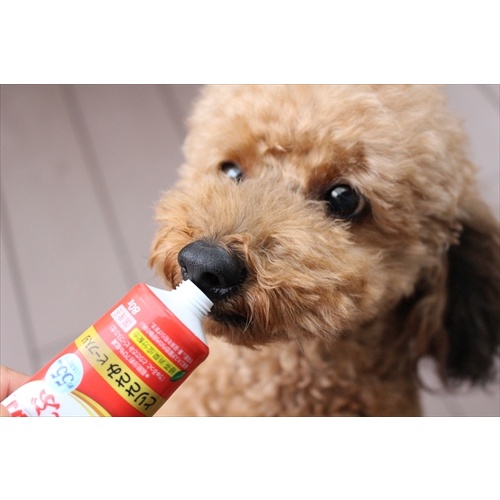 Ciao Inaba churu tuýp 80g dạng kem đặc liếm thưởng cho mèo bổ sung lợi khuẩn