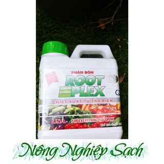 Root Plex Phân bón lá hữu cơ Rong biển Chai 1 Lít